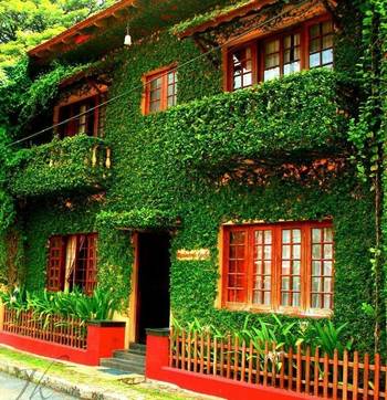 Фото красивого дома с растениями