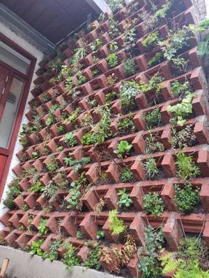 Отделка фасада с растениями