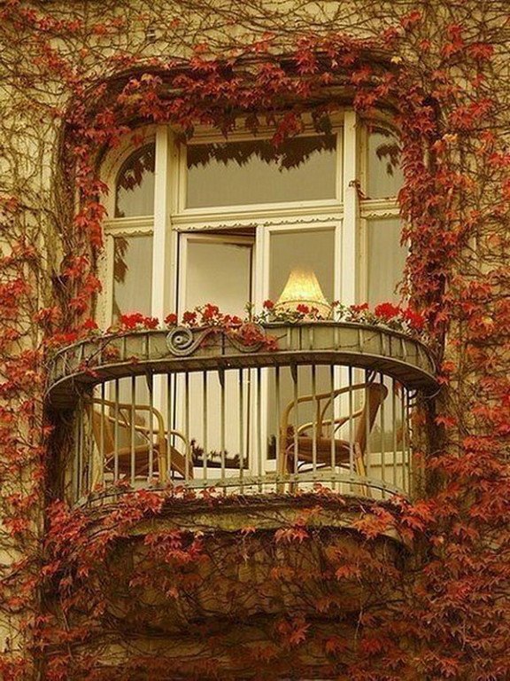 Балкон с плющом осенью