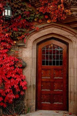 Дом в готическом стиле с красивой дверью