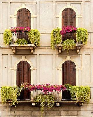 Балконы с зеленью