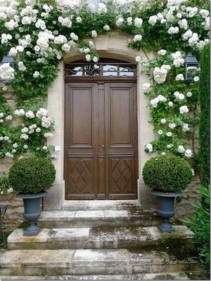Внешняя отделка загородного дома коричневого цвета с красивой дверью