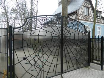 Дизайн фасада стеклянного дома черного цвета