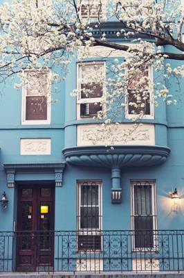 Дом голубого цвета в французском стиле