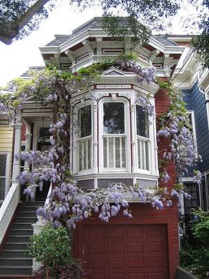 Фасад в викторианском стиле с растениями