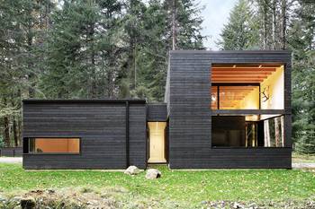 Пример отделки деревянного загородного дома черного цвета